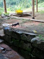 Zuckerrohrverarbeitung