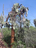IMG_20180318_155118