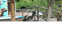 IMG_20180322_161450