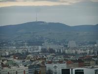 ...zum Kahlenberg...