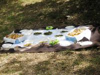 Apéritif auf dem Land