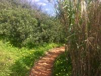 Tag 3 - zwischen Burgau und Luz