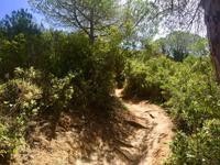 Tag 3 - Torre de Atalaia 