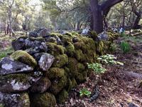 Tag 4 - Weg Richtung Picota