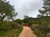 Tag 5 - Wanderung im Naturschutzgebiet Rocha da Pena