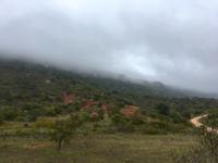 Tag 5 - Blick auf den Tafelberg