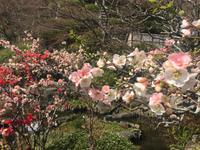 Kamakura - Hase-dera-Tempel