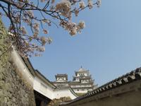 Himeji - Burg des weißen Reihers