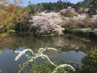 Kyoto - Ryoanji-Tempel