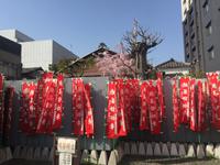 Spaziergang durch Kyoto