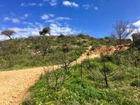 Tag 6 - verbranntes Land