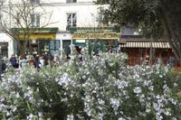 Paris im Frühling 2018  