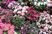 Paris im Frühling 2018  