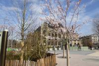 Paris im Frühling 2018  