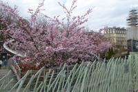 Paris im Frühling 2018  