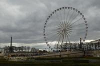 Tuileries 