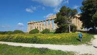 Tempel E