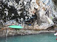 Wächter der Schwalbennester