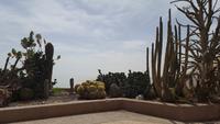Gärten in Ein Gedi 20180323_110026