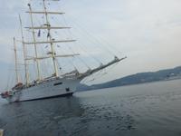 letzter Blick auf Star Clipper