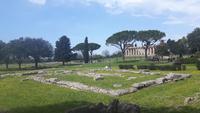 Paestum