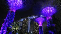 Gardens by the Bay