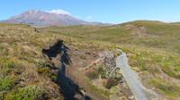 Tongariro Nationalpark Wandertag