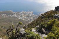  Aussicht vom Tafelberg