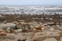 44 Kap der guten Hoffnung