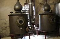 118 Weingut Blaauwklippen