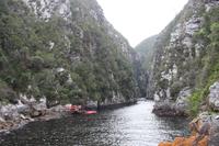 224 Tsitsikamma Nationalpark