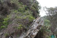 232 Tsitsikamma Nationalpark