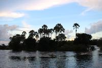 718 Sundowner-Bootsfahrt auf dem Sambesi