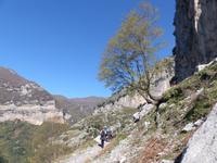 Valle delle Ferriere 9
