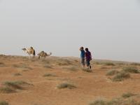 Wahiba Sands - da ist irgendwo ein Cash