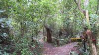 Exkursion im Wald