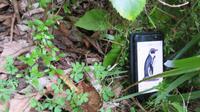 Pinguine auf drei Uhr