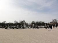 DSC05553