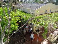 In Hemingways Finca Vigia