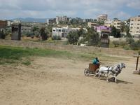 Jerash: Römersiedlung