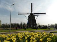 De Riekermolen - De Riekermolen