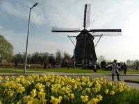 De Riekermolen - De Riekermolen