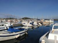 im Hafen von Murter