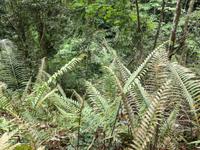 zweite Wanderung von Ban Hang nach Kho Moung