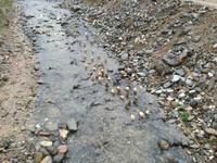 zweite Wanderung von Ban Hang nach Kho Moung