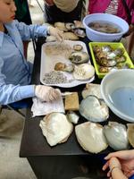 von Ninh Binh nach Ha Long - Perlenfabrik