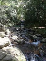 Wanderung im Nationalpark Bach Ma