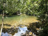 Wanderung im Nationalpark Bach Ma