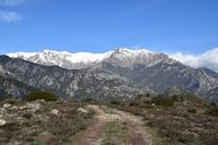 0349 Bus 1 - Korsika