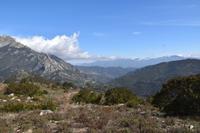 0350 Bus 1 - Korsika